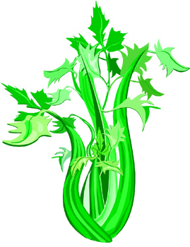 Celery Seed