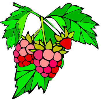Raspberry Leaf