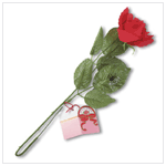 MUSICAL LONG STEM RED ROSE
