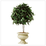 IVY TOPIARY ON ALABASTRITE POT