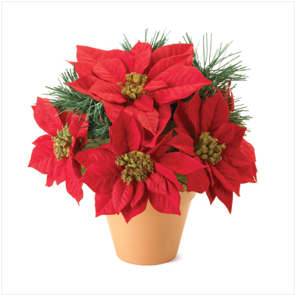 DECORATIVE POINSETTIA