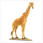 GIRAFFE FIGURE