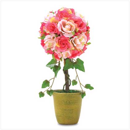 ROSE TOPIARY