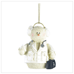 SNOWBERRY CUTIES DOCTOR