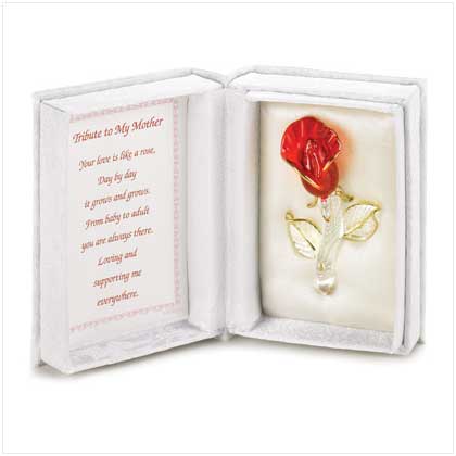 TRIBUTE TO MY MOTHER RED ROSE