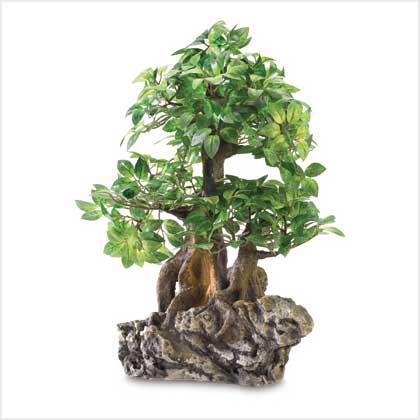 EVERLASTING BONSAI ON ROCK