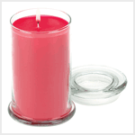 WILDBERRY FRUIT JAR CANDLE