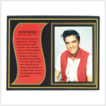 ELVIS BIOGRAPHY PLAQUE