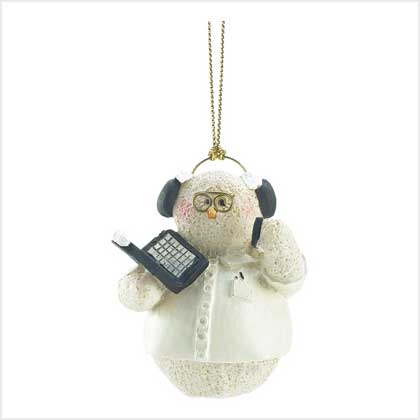SNOWBERRY CUTIES COMPUTER TECH